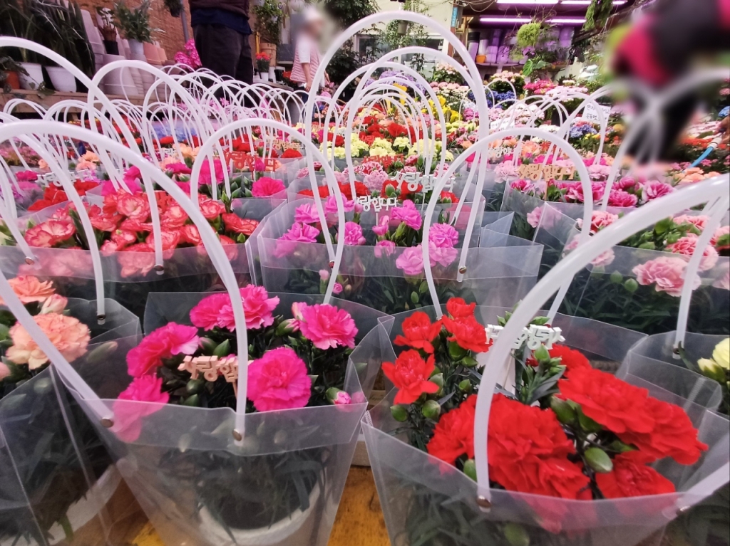 8일 양재 꽃시장의 카네이션들/사진=오석진 기자