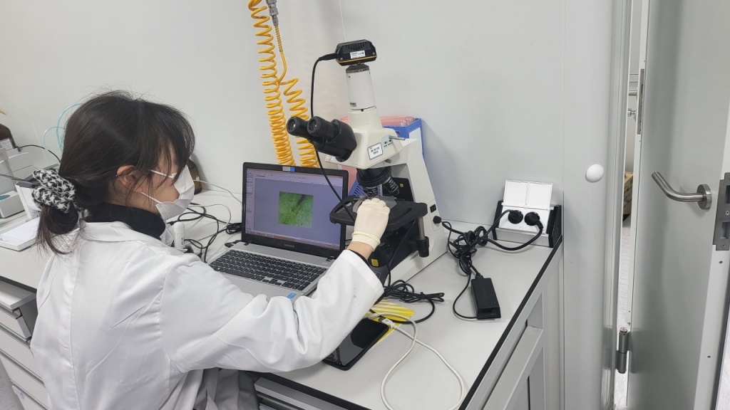 자생메디바이오센터 연구원이 현미경을 이용해 품질 검사를 진행하고 있다. /사진=박정렬 기자