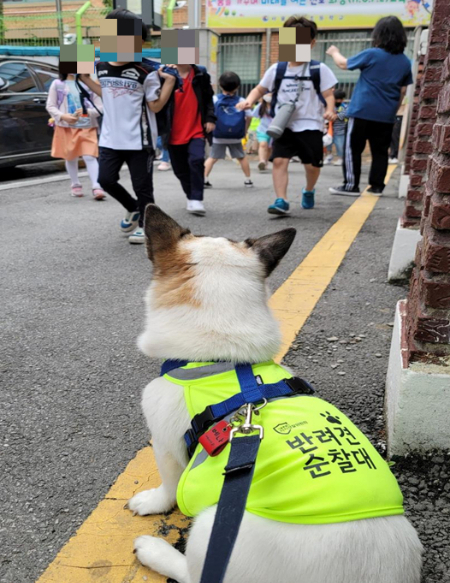 초등학생 하교길을 지키는 반려견 순찰대원./사진=서울시 자치경찰위원회 