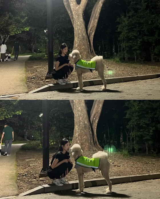 서울시 반려견 순찰대 2기인 김떡국 대원. 신기하게도 이 순찰복을 입고 다니면 정의감, 사명감이 마구 샘솟는단다. 주변의 관심과 든든함, 자부심도. 김떡국 보호자 대원은 "미칠듯한 귀여움으로 사람들의 마음을 몽글몽글하게 만들어서 나쁜 짓을 못 하게 하는 역할인 것 같기도 하다"고 했다./사진=김떡국 대원 보호자님 