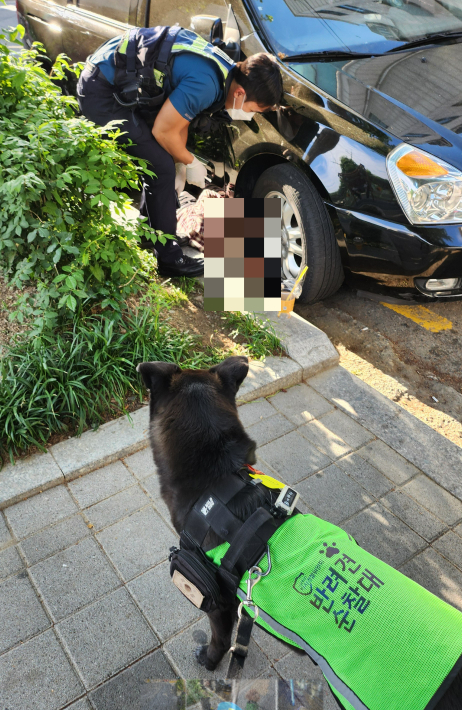 주취자를 발견해 신고한 반려견 순찰대원./사진=서울시 자치경찰위원회 반려견 순찰대 