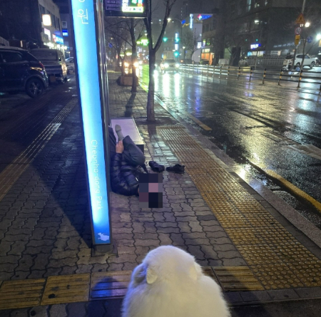 야간에도, 경찰력이 닿지 못하는 곳까지 구석구석 촘촘하게 순찰한다./사진=서울시 자치경찰위원회 반려견 순찰대 