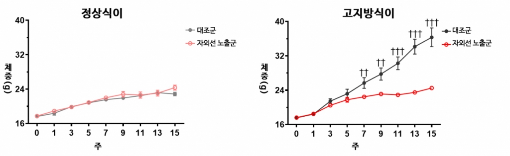 자외선 노출군은 음식 섭취량이 증가했음에도 대조군에 비해 체중이 증가하지 않은 것으로 나타났다./사진=서울대병원