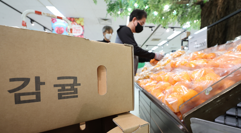 서울의 한 대형마트에서 직원이 감귤을 진열하고 있다. /사진=뉴스1