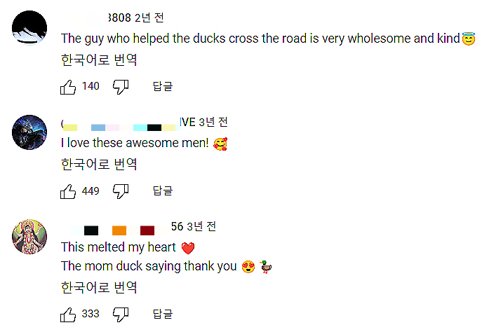 러시아 경찰이 오리 가족을 살려줘 고맙다고, 친절하다고, 멋지다고, 마음을 녹였다고. 해당 영상에는 이리 좋은 댓글이 많이 달렸다./사진=유튜브