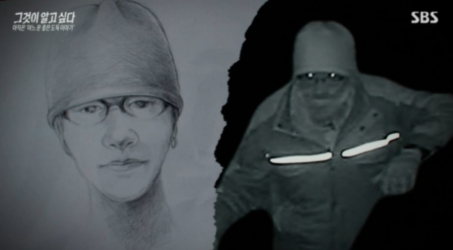 SBS '그것이 알고싶다'가 공개한 구하라 금고 도난 사건 용의자의 몽타주 /사진=SBS '그것이 알고싶다' 방송화면