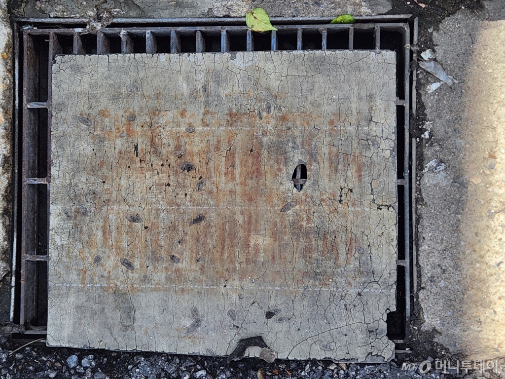 서울 관악구 신림동 일대 일부 빗물받이는 발판 등 덮개로 가려져 있었다. 하수도법 제19조는 "공공하수도를 손괴하거나 그 기능에 장해를 줘 하수의 흐름을 방해할 경우 5년 이하의 징역이나 5000만원 이하의 벌금에 처한다"고 규정하고 있다./사진=최지은 기자  