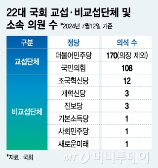 22대 국회 교섭·비교섭단체 및 소속 의원 수/그래픽=김지영