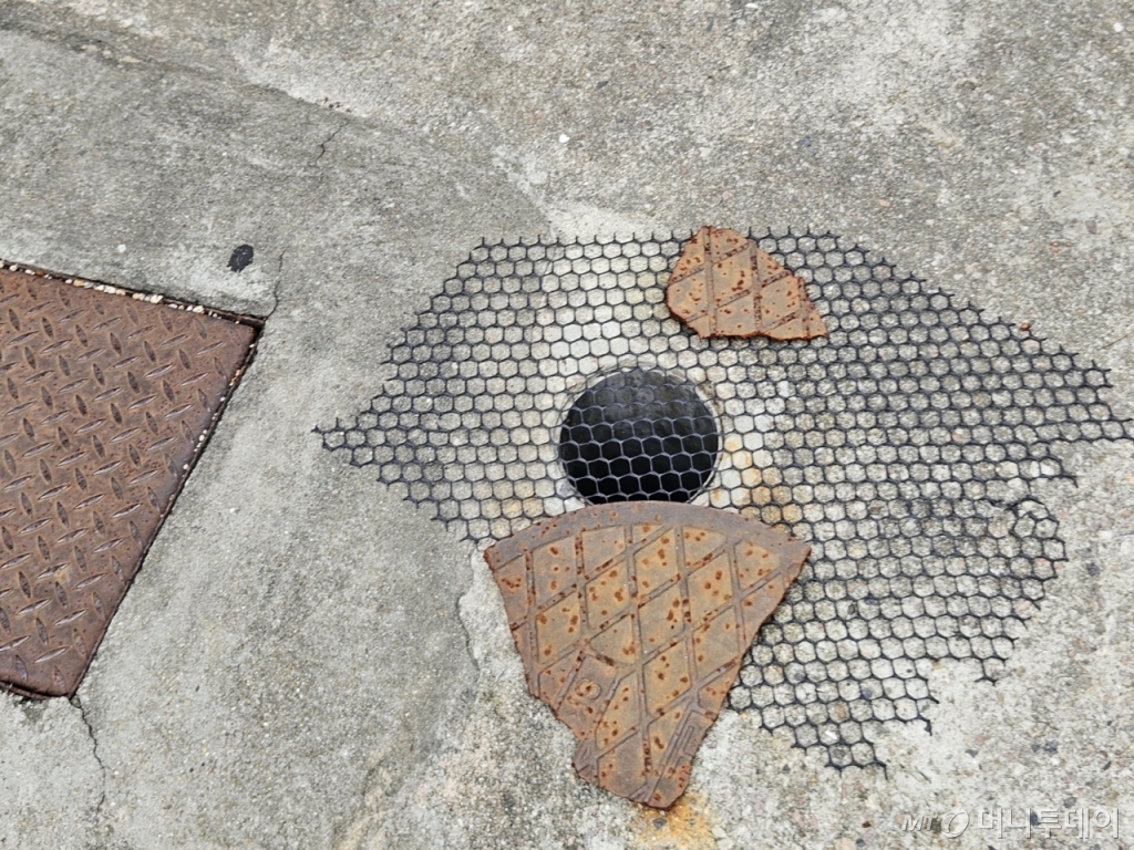 17일 오후 서울 동작구 사동1동 한 다세대 주택의 하수구.  하수구멍이 막히지 않도록 철제 그물망을 설치해 놨다. /사진=정세진 기자 