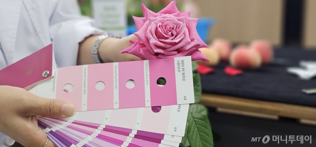 박금순 농업연구사가 영상분석기술을 활용한 식물 특성조사를 관련 자료와 비교하고 있다./사진=정혁수 기자