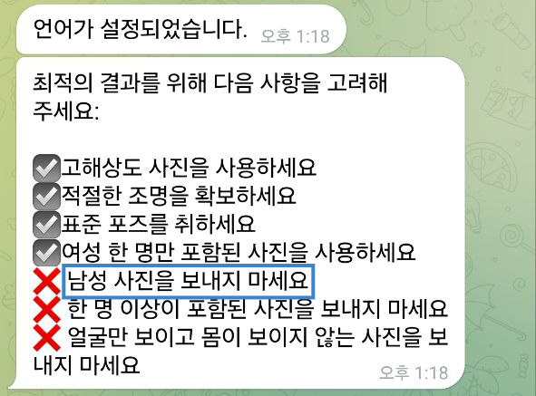 접속해본 딥페이크봇은 1대1 대화방처럼 운영됐다. 한 딥페이크봇은 '남성 사진은 보내지 말아라' '여성 한 명만 포함된 사진을 사용해라' 같은 고려 사항을 메시지로 띄웠다. /사진=텔레그램 갈무리
