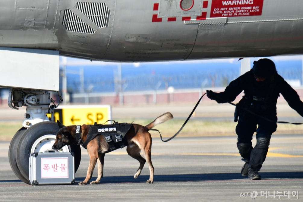 지난해 11월 경찰의 대테러 종합훈련에서 경찰특공대 인원과 탐지견이 폭발물을 찾아내고 있는 모습. /사진=뉴스1