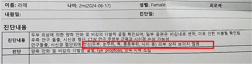 라떼가 처음 갔던 병원에서 수의사가 적은 진단서 내용. 피부 상처가 보이지 않는다고 명시했다./사진=라떼 구조자 김유정씨
