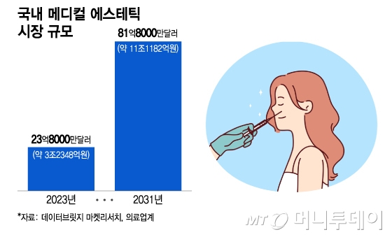 국내 메디컬 에스테틱 시장 규모/그래픽=이지혜