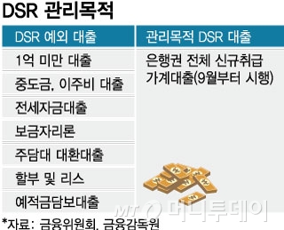 '갚을 능력만큼 대출' 6년 도루묵…DSR 빠진 대출, 소득도 안봤다 - 머니투데이