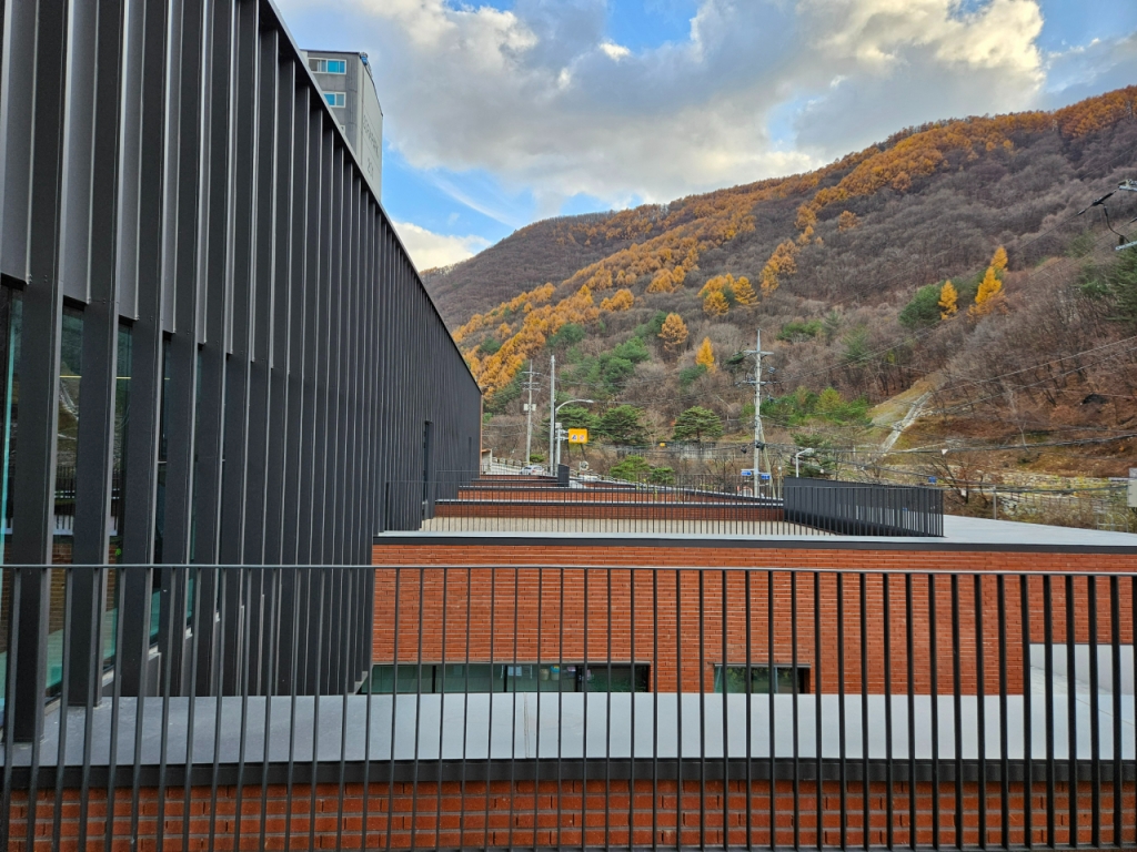 사북하나어린이집에서 바라본 앞산에 단풍이 지고 있다/사진=김도엽 기자