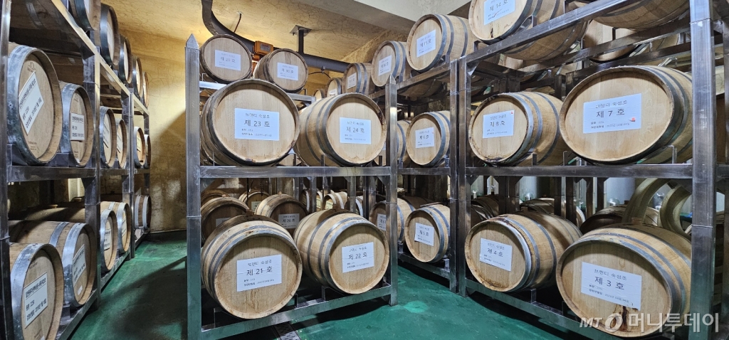 제주 서귀포시에 위치한 농업회사법인 시트러스가 다양한 브랜드로 K-명주 반열에 도전하고 있다.  사진은 시트러스 본관 지하에 보관중인 오크통들./사진=정혁수 /사진=정혁수 