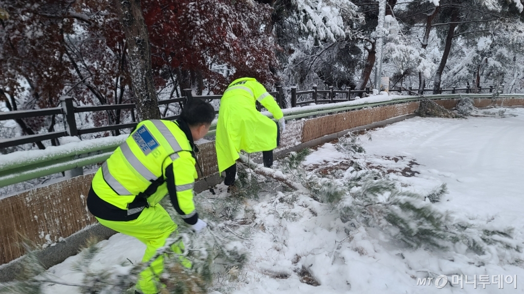 27일 오전 인왕산 방면 도로에는 눈 무게를 이기지 못한 소나무가 쓰러져 있었다. 인왕산 자락에서 서울시청 시내까지 내려가는 동안 소나무 가지가 부러져 통행을 방해하는 지점 4곳이 발견됐다. 소나무를 정리하는 경찰관들./사진=이찬종 기자 