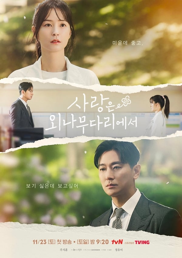 tvN 토일드라마 '사랑은 외나무 다리에서'./사진=tvN