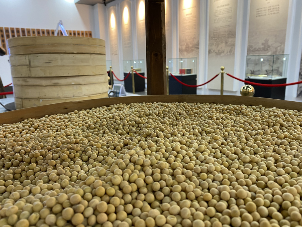 콩의 배신과 금의 질주…ETF 투자 성적표 살펴보니 - 머니투데이