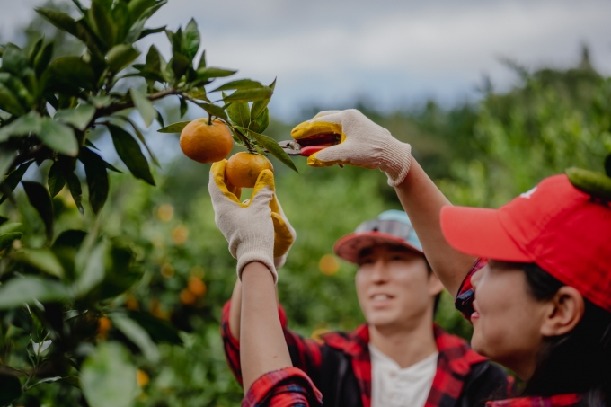 ▲제주 은퇴자 마을 체험 모습/사진제공=제주관광공사