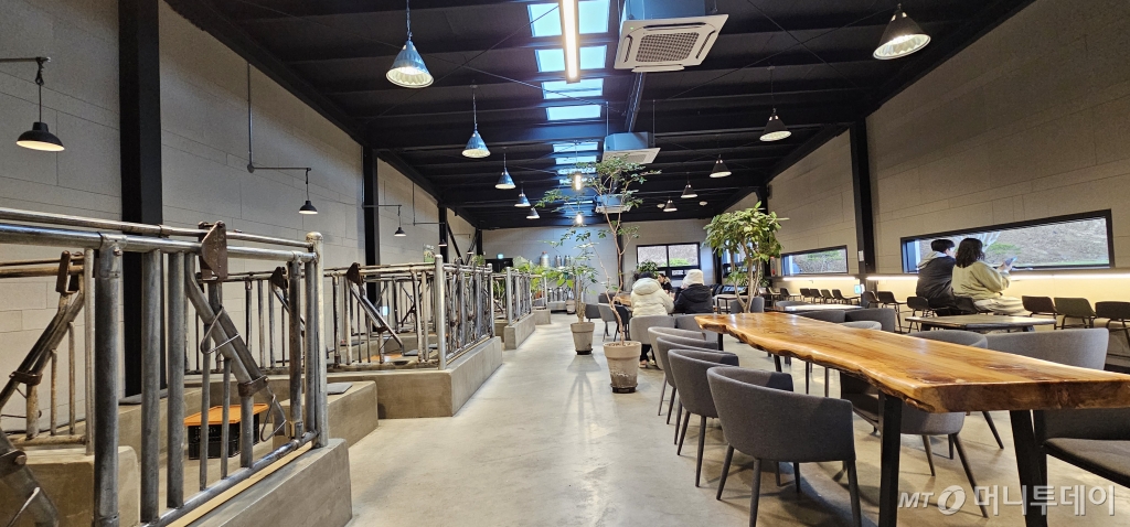 보령우유에서 운영하는 카페 '우유창고'가 지역 명소로 알려지면서 다양한 연령층의 고객이 이 곳을 찾고 있다. 사진 왼쪽에는 축사를 연상케 하는 휴식공간으로 어린이와 함께하는 가족단위 손님들에게 인기가 많다. /사진=정혁수