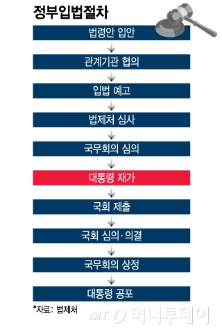 정부입법절차/그래픽=이지혜