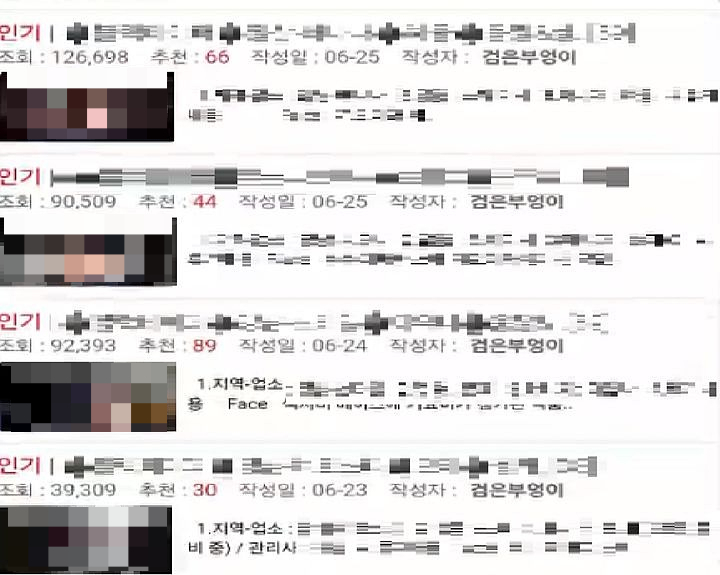 '검은 부엉이'라는 가명으로 A씨가 게시한 성매매 업소 후기./사진=뉴스1(경기남부경찰청 제공)