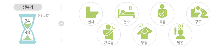 노로바이러스 감염 시 주요 증상./사진=식품의약품안전처