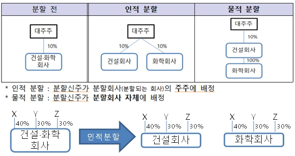 인적·물적분할 구조와 인적분할 구조도 /사진=금융위원회