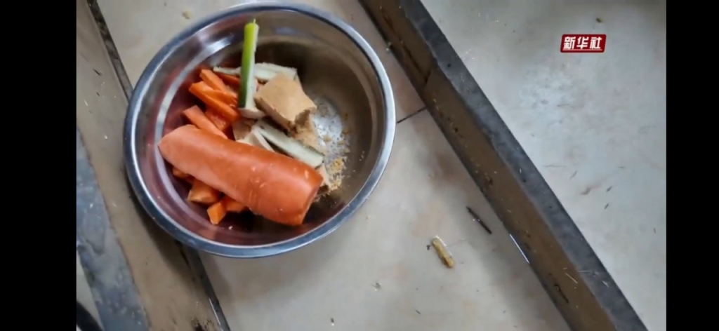 선수핑 기지의 중국 사육사가 직접 손으로 당근 등을 푸바오에게 먹이고 코를 쓰다듬고 있다./사진= 12월 23일 업로드된 신화통신 웨이보 영상 캡쳐