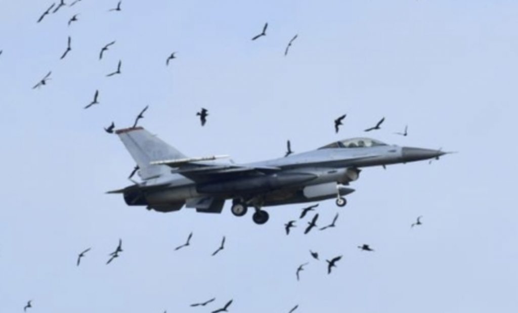 전북 군산시 새만금 수라갯벌 상공에서 군산공항 활주로에 접근하는 F16 전투기가 민물가마우지 대열과 충돌하고 있다. /사진=새만금신공항백지화공동행동 제공