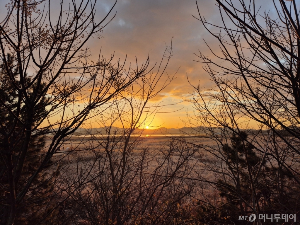 1일 오전 7시51분 전남 무안국제공항 '무안 참사' 사고 현장 맞은 편에서 떠오르는 2025년의 첫 해./사진=박진호 기자