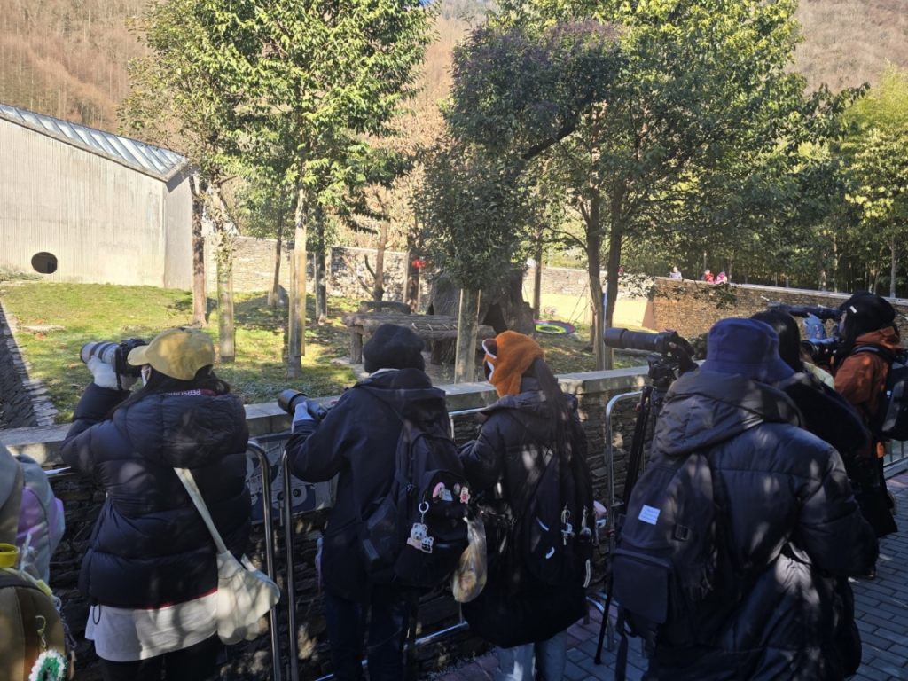 2025년 1월 1일을 맞아 다시 개원한 중국 청두 워룽 중화 자이언트 판다원 선수핑기지의 '푸바오'가 생활하던 방사장에서 카메라를 들고 대기하는 관람객들. 이날 푸바오는 '비전시구역'에 있어 관람객에게 공개되지 않았다.