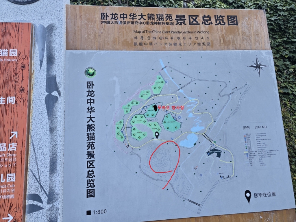 빨간 동그라미 표시가 된 구역이 '비전시구역'으로 현재 푸바오가 옮겨져 있는 곳이다. 