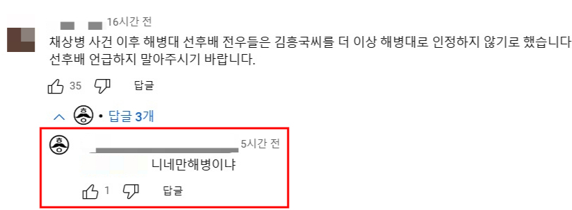 /사진=유튜브 채널 '김흥국 들이대TV' 캡처 