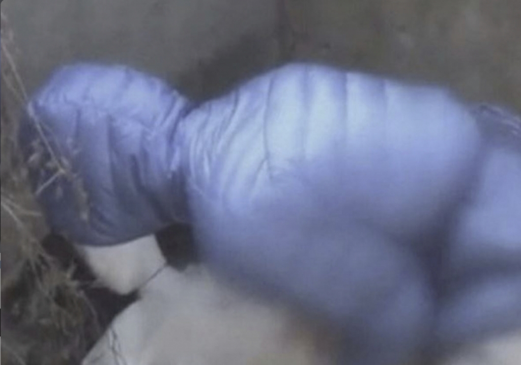 현장검증 사진/사진=SBS 보도