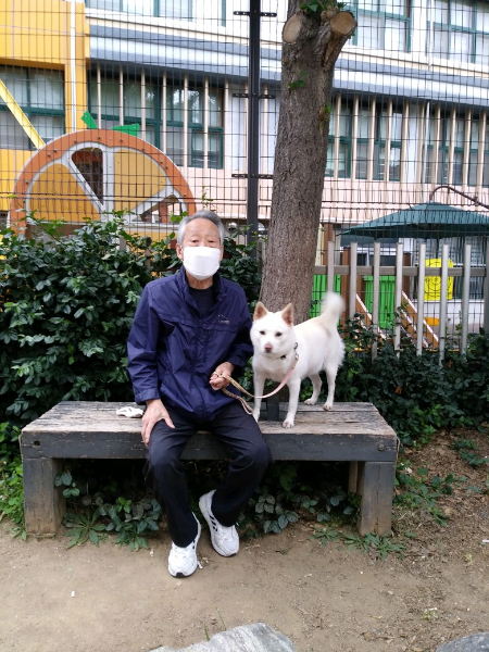 매일 같은 시간에 동네를 산책하는 행운이와 할아버지 사진. 평범하고도 소소한 행복의 장면들./사진=남형도 기자