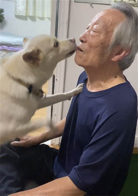 온몸으로 마음으로 반기는 걸 표현한다면 이런 것일지. 할아버지에게 기쁨을 표현하는 행운이의 모습./사진=남형도 기자
