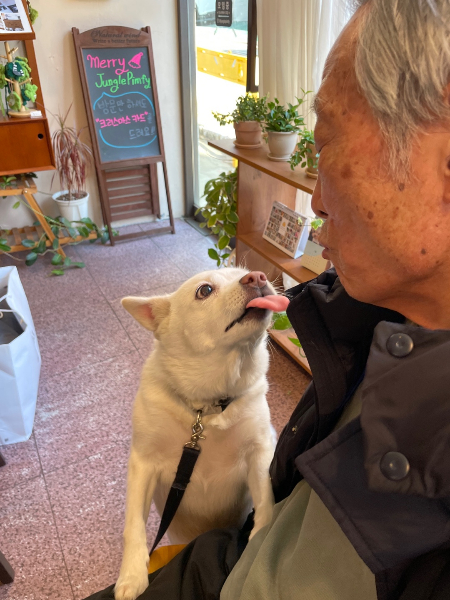 할아버지를 애정하는 행운이의 표정은, 소나무처럼 사시사철 한결 같이 푸르렀을 거라고./사진=남형도 기자