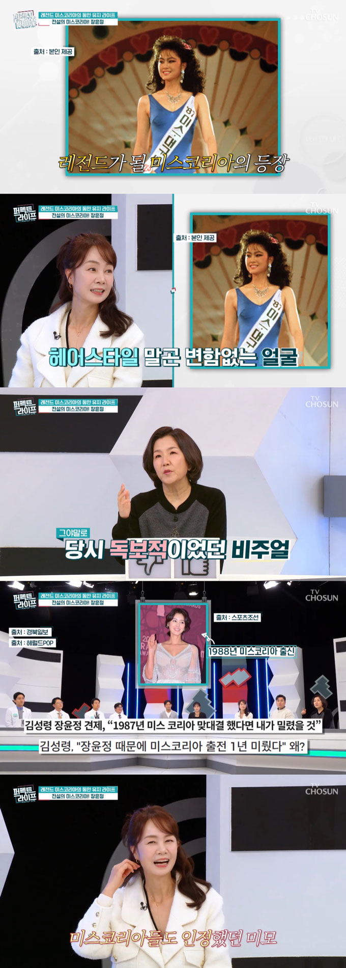 /사진=TV조선 '퍼펙트 라이프' 방송 화면