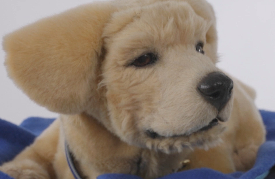 미국 기업 톰봇의 로봇 강아지 제니/사진=한지연기자
