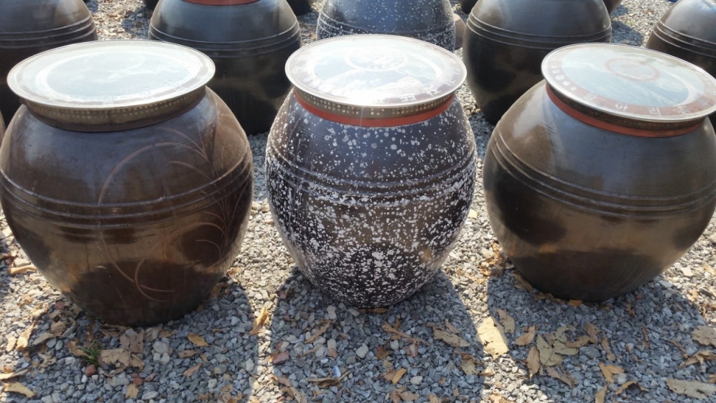 장독대 바깥으로 피어난 소금꽃. /사진제공=조병희 종부