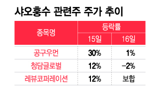 샤오훙수 관련주 주가 추이. /그래픽=이지혜 기자.