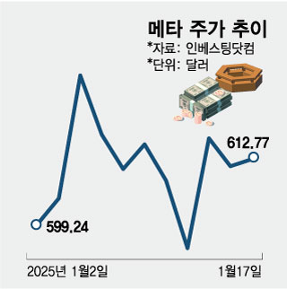 메타 주가 추이. /그래픽=임종철 기자.