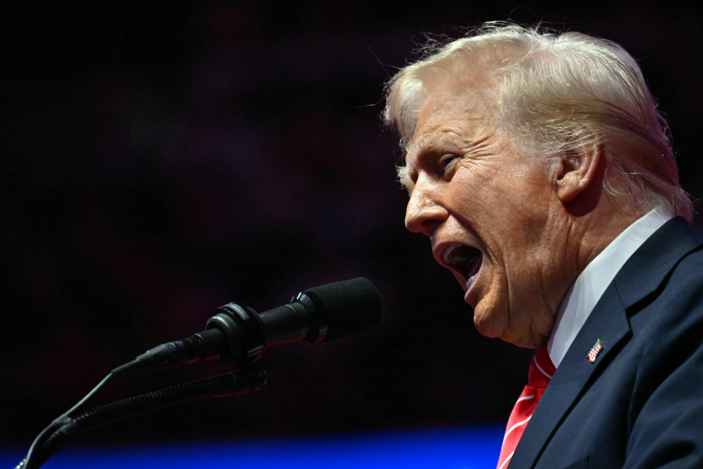 도널드 트럼프 미국 대통령 당선인이 지난 19일(현지 시각) 취임 하루를 앞두고 워싱턴 '캐피털 원 아레나' 경기장에서 열린 MAGA 대선 승리 축하 집회서 "우리는 미래에 서명할 것이 많다. 걱정할 필요 없다. 멈추지 않을 것이다"고 말하고 있다. /사진: AFPBBNews=뉴스1.