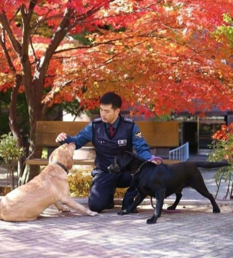김민철 교관과 큐(오른쪽 검정 리트리버), 그리고 큐의 아내 포순이. /사진=김민철 경찰견종합훈련센터 양성교관 제공.