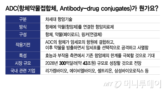 ADC(항체약물접합체, Antibody-drug conjugates)가 뭔가요/그래픽=이지혜