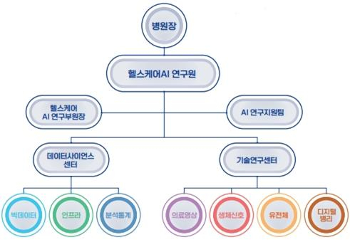 서울대병원 헬스케어AI 연구원 조직도. 