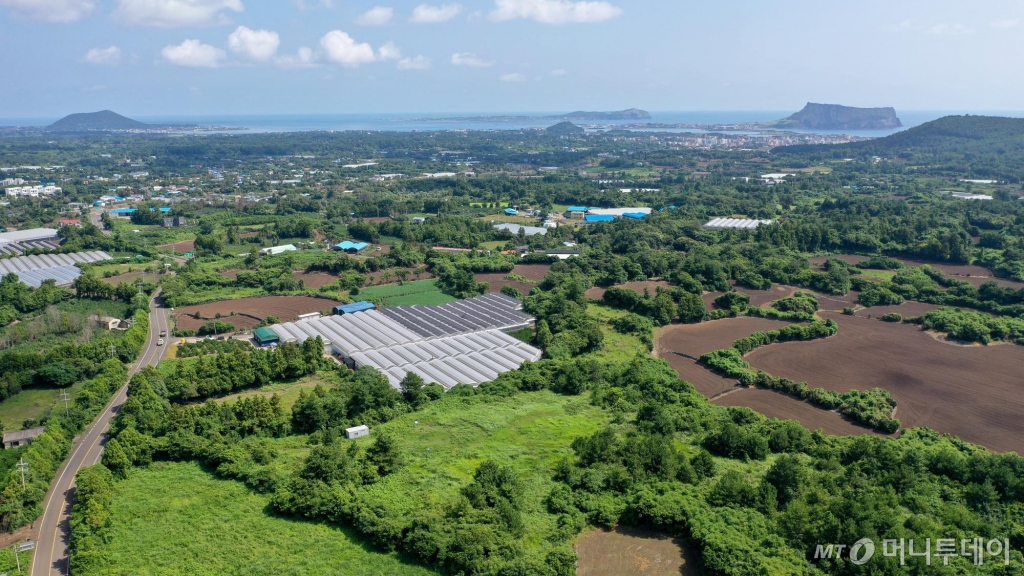 [서귀포=뉴시스] 우장호 기자 = 국토교통부는 6일자로 '제주 제2공항 건설사업' 기본계획 고시를 예고했다. 이번에 고시되는 기본계획에 따르면, 제주 제2공항 건설사업의 총사업비는 5조4532억원(1단계 사업 기준)으로, 주요 시설로는 활주로, 유도로, 계류장, 여객터미널, 화물터미널 등이 포함된다.  국토부는 기본계획 고시에 이은 후속 절차로 기본설계와 환경영향평가 등에 착수한다. 5일 제주 서귀포시 성산읍 상공에서 제2공항 예정 부지를 바라본 모습. 2024.09.05. woo1223@newsis.com /사진=우장호